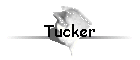 Tucker