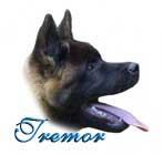 Click to meet Tremor